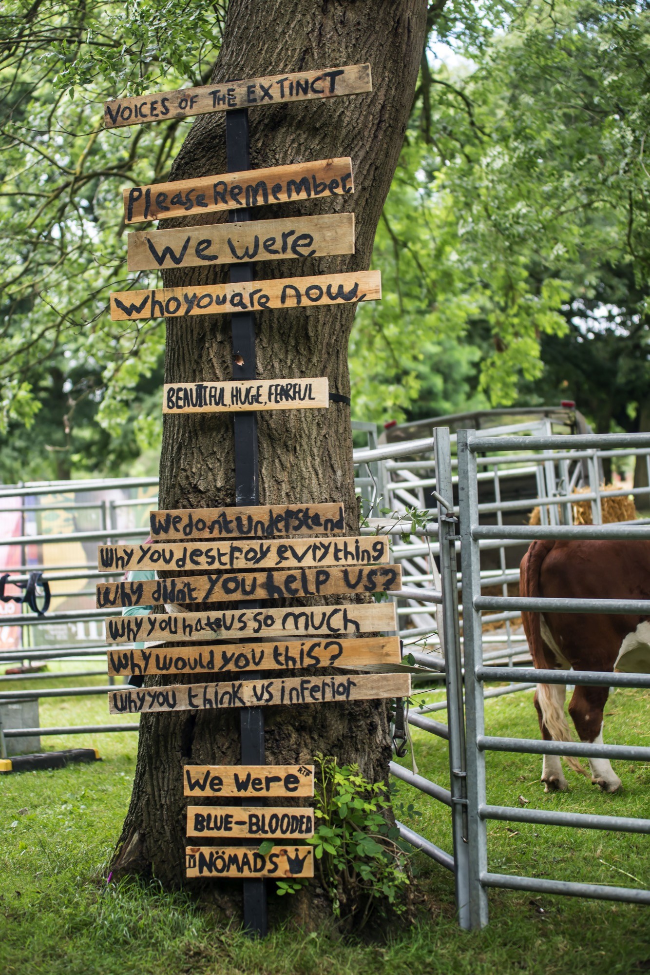 wooden boards with text on on a tree