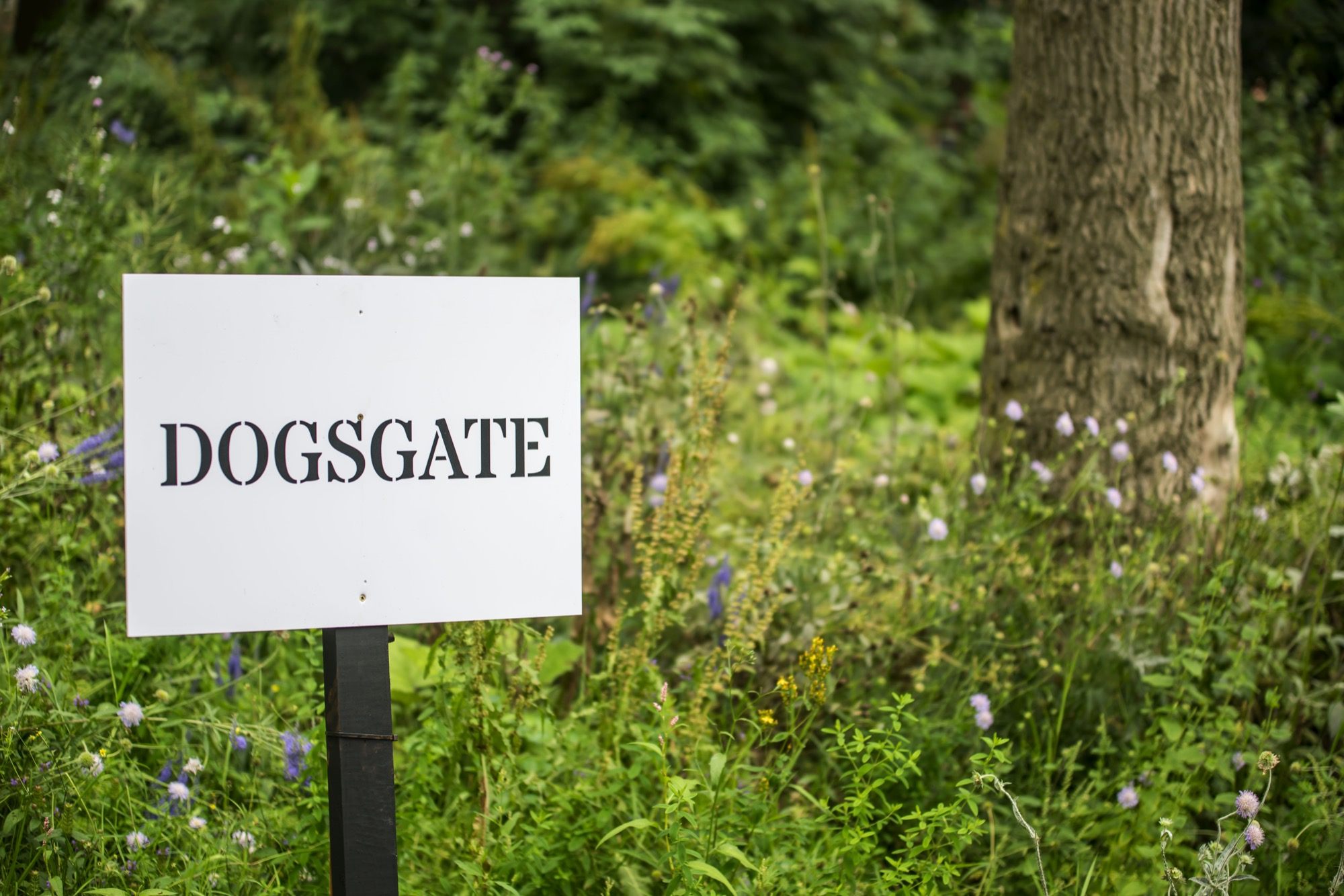 'dogsgate' sign