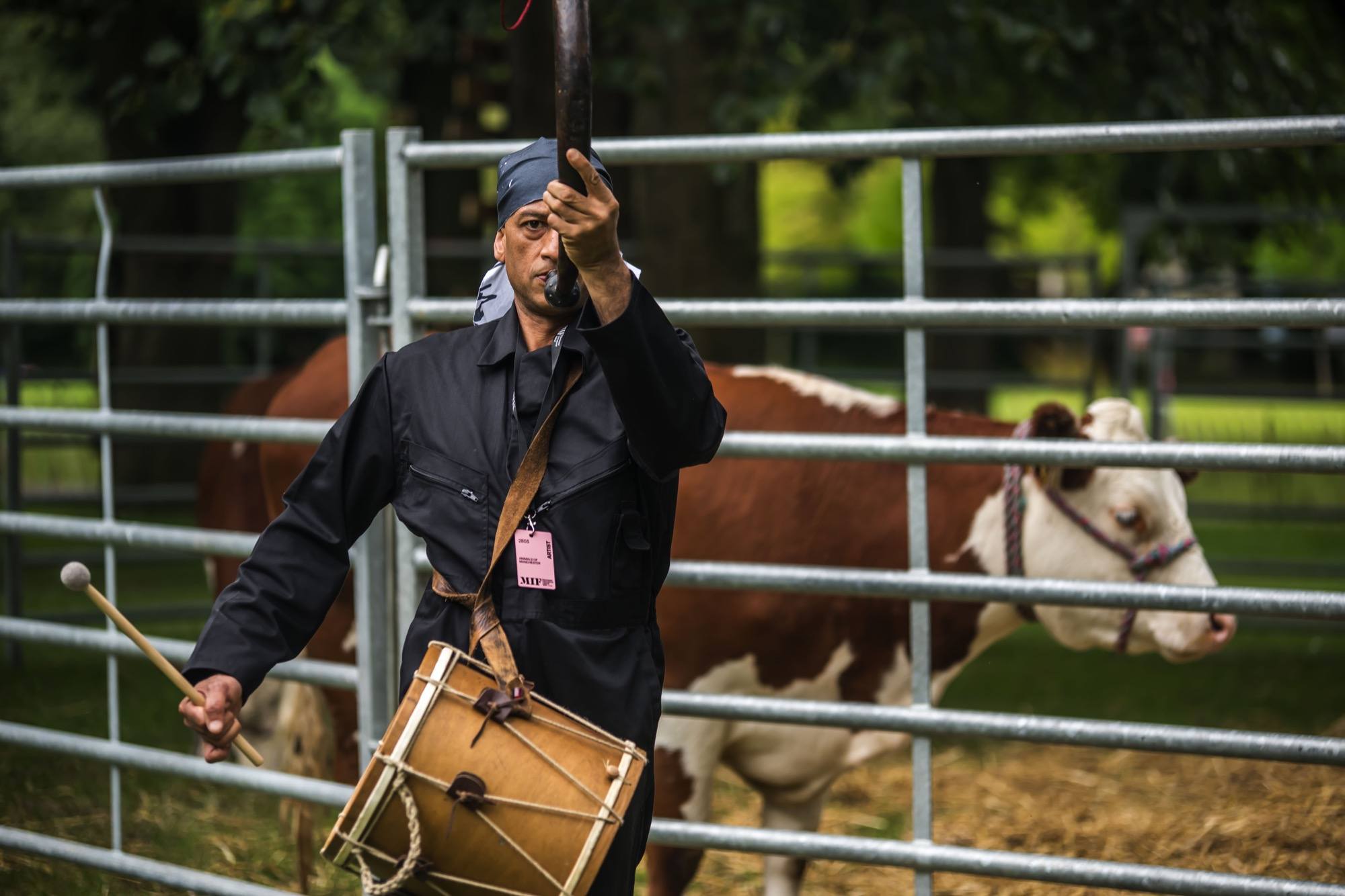 person playing a large horn