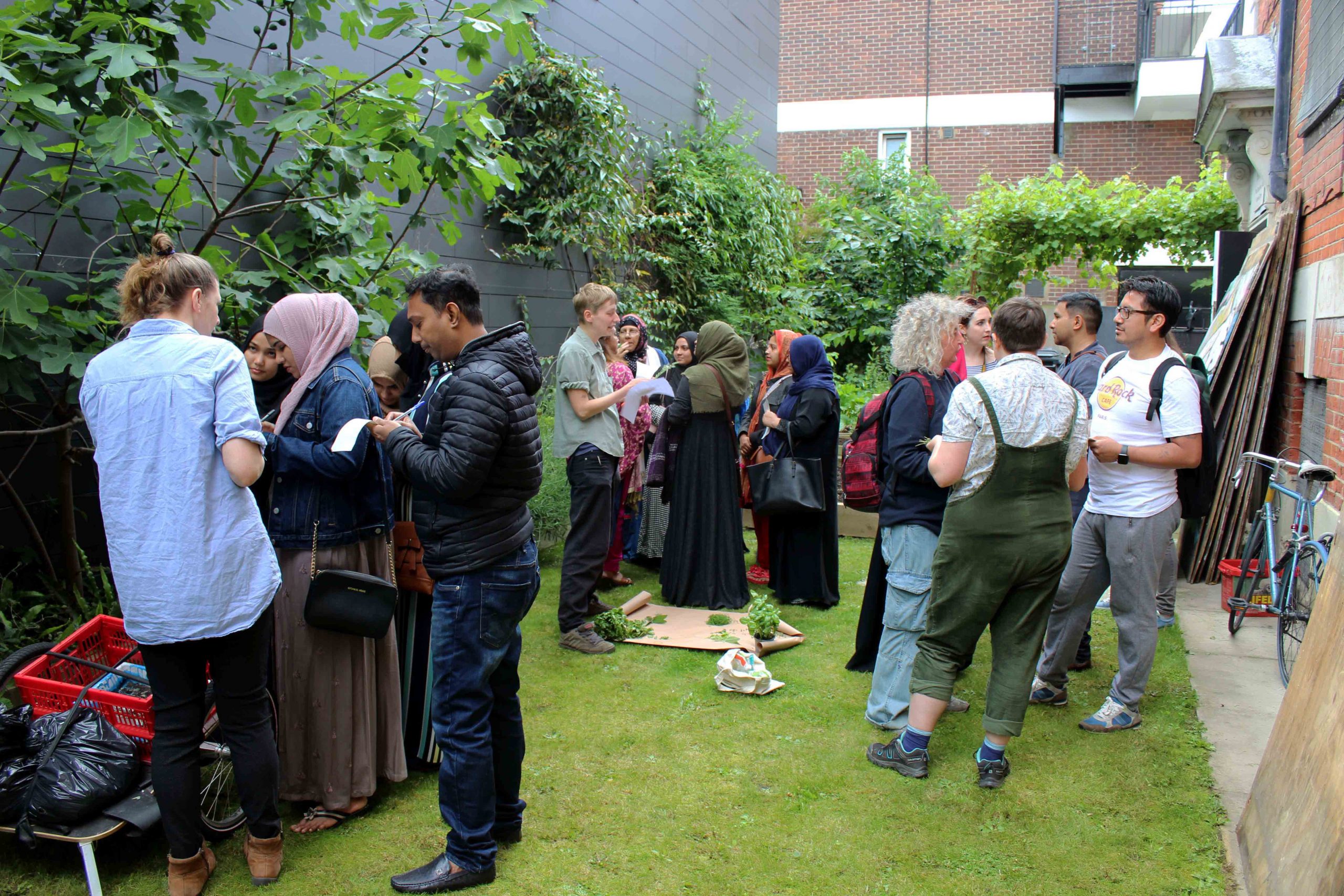 A group of people stand in a garden