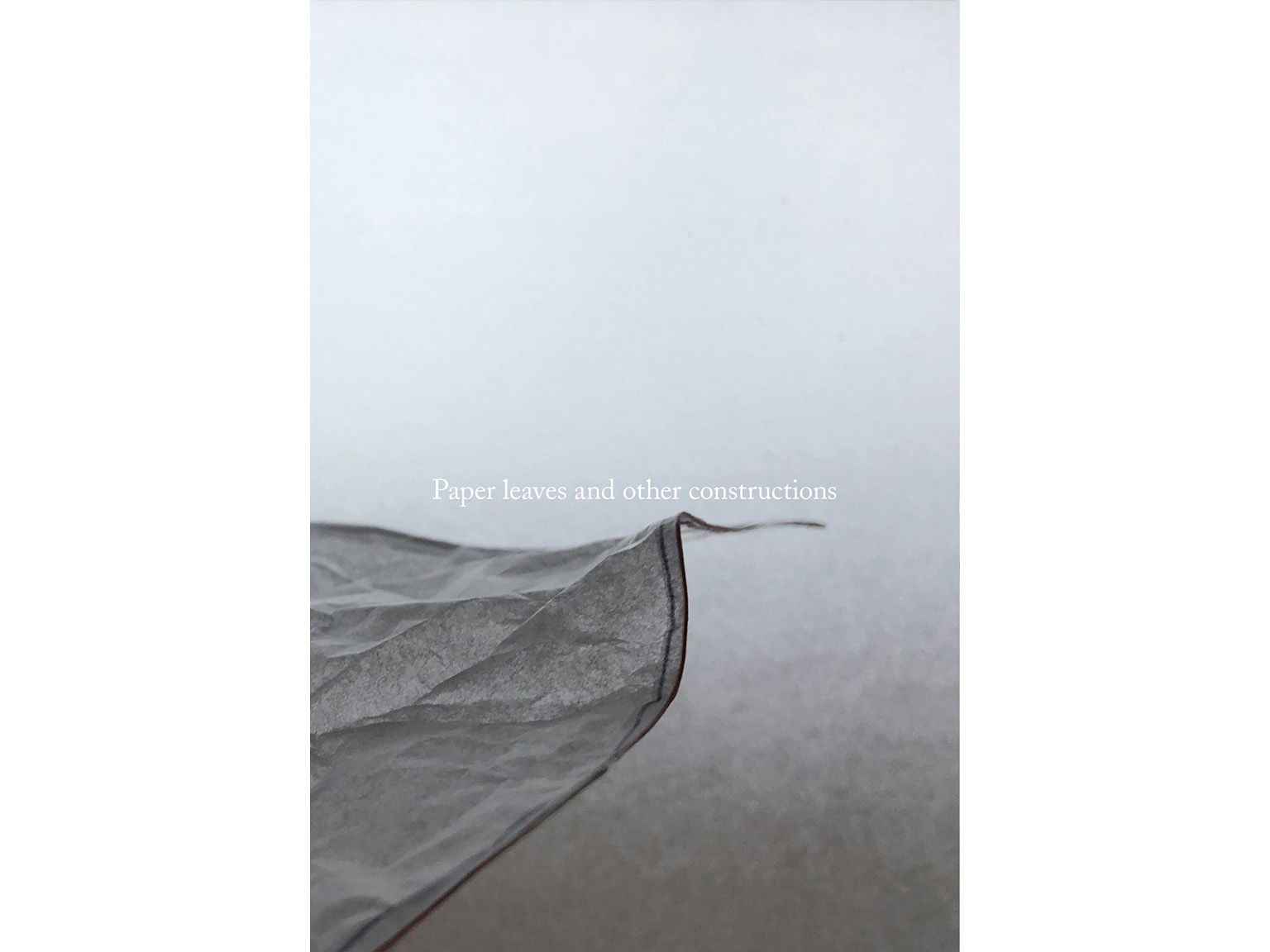 Paper Leaves Grey floating fabric divides the horizon.